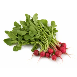 asset 37red radish