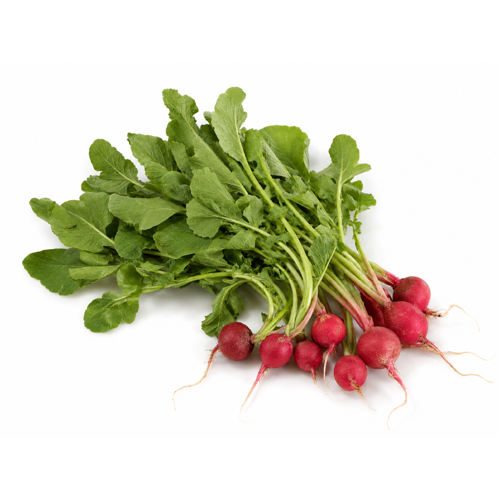 asset 37red radish asset 37red radish