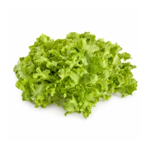 asset 41lettuce