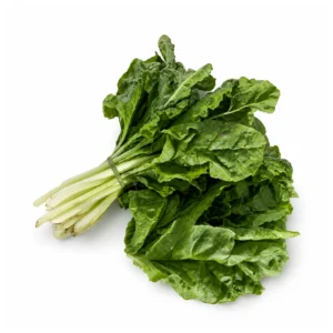 asset 42chard