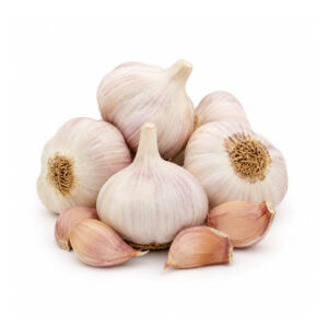 asset 49garlic