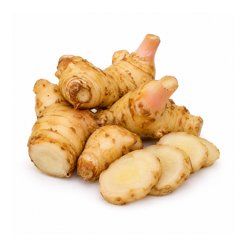asset 51galangal ginger asset 51galangal ginger